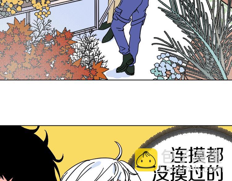 第34话  大摩托和花艺(1/2)-第39话