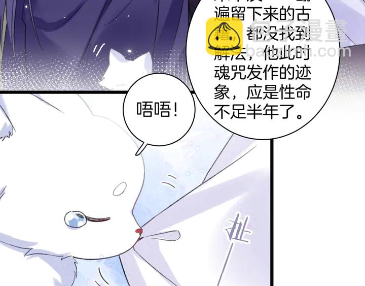 花顏策 - 完結篇 與你共看南楚盛世(1/2) - 1