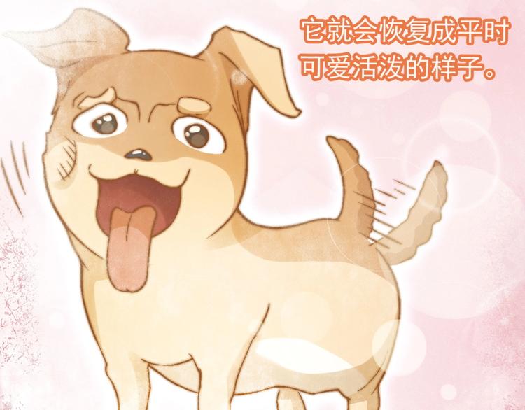 第130话 乐琳的情敌(1/3)-第131话