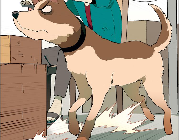 第70话 萌宠出击！(1/2)-第71话