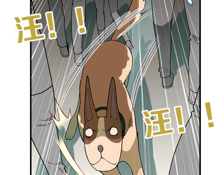 第70话 萌宠出击！(1/2)-第71话