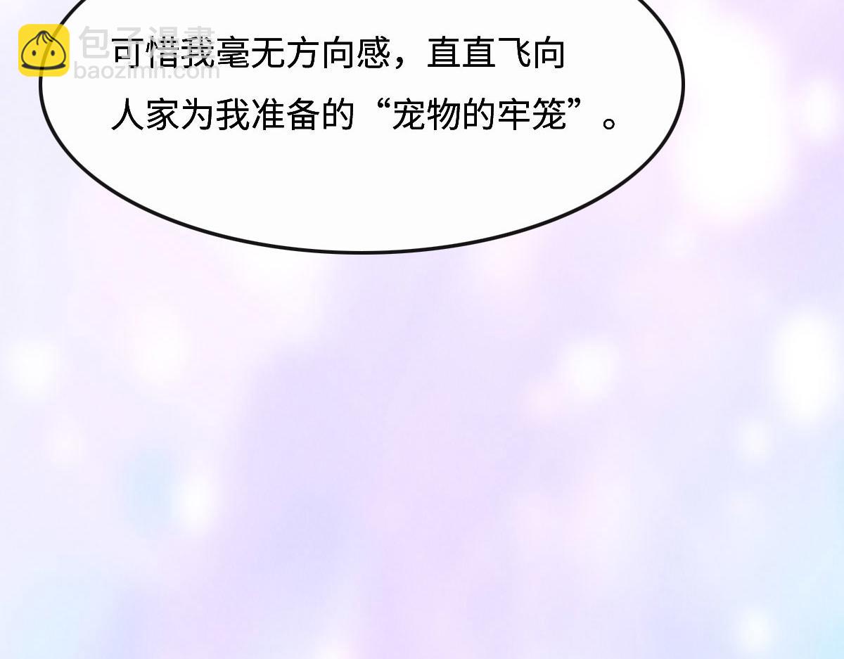 花與同謀 - 第54話 玩偶之家(2/3) - 3