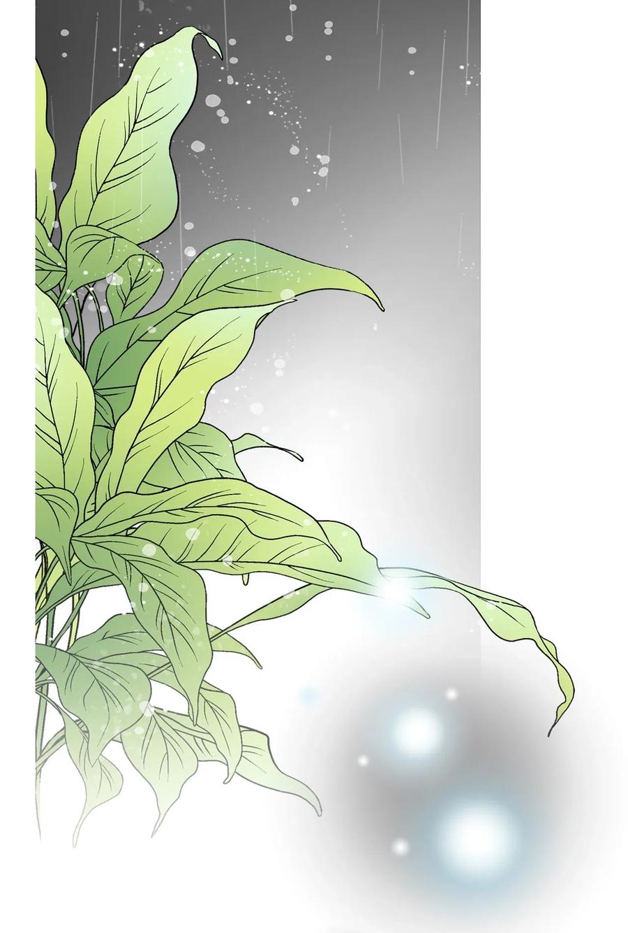 43 夜雨绵绵(1/2)-第43话