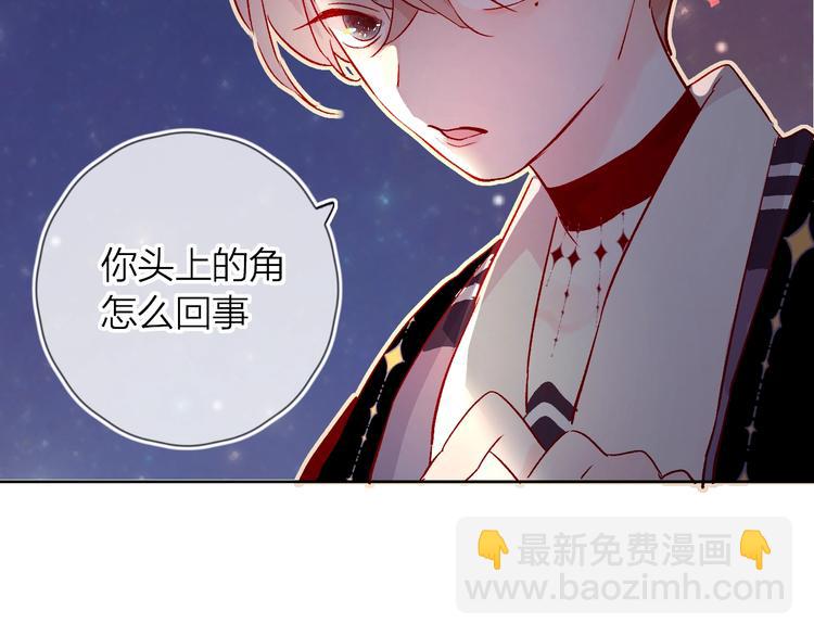 第20话 你是我的夜莺(1/2)-第23话