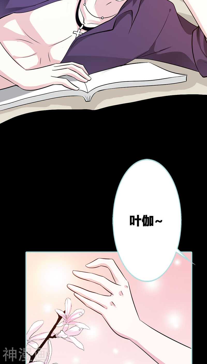 第40话 你是笨蛋吗-第41话