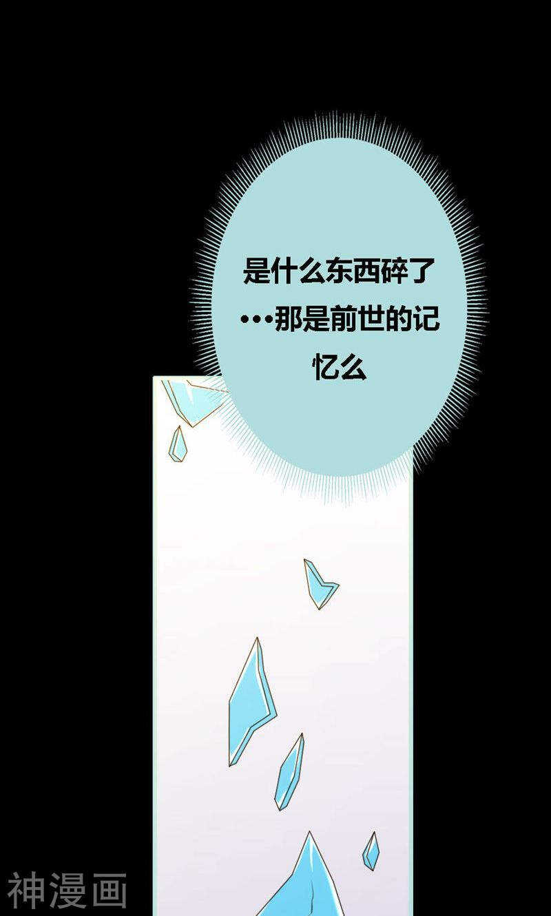 第67话 我都看到了！-第69话