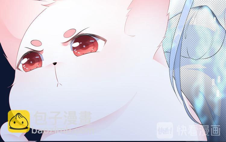 预告！天降激萌小狐狸！(1/2)-第1话