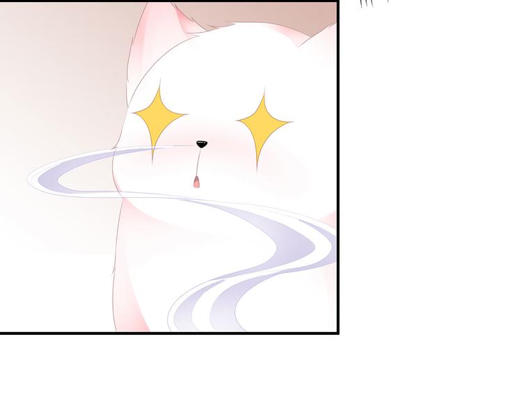 预告！天降激萌小狐狸！(1/2)-第1话