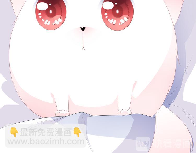 第10话 招惹祸端(1/2)-第11话