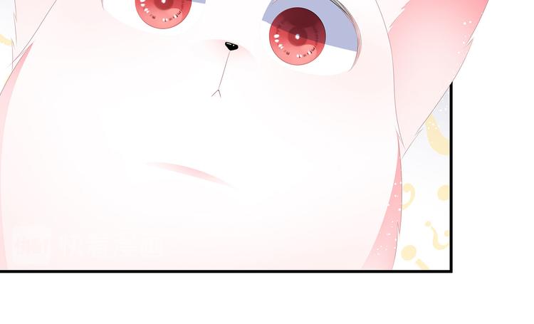 第14话 灵狐报怨(1/2)-第15话