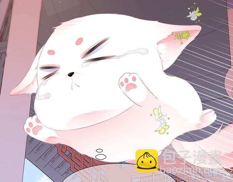 第2话 无奈成宠(1/2)-第3话