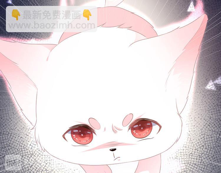 第2话 无奈成宠(1/2)-第3话