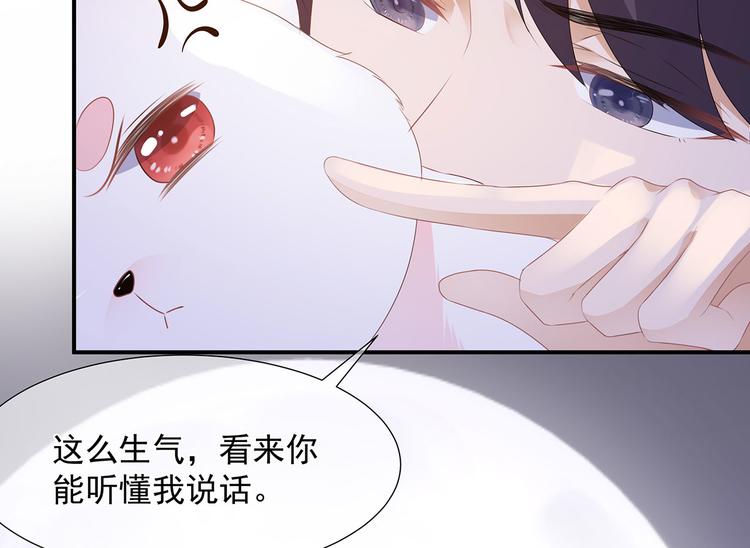 第2话 无奈成宠(1/2)-第3话