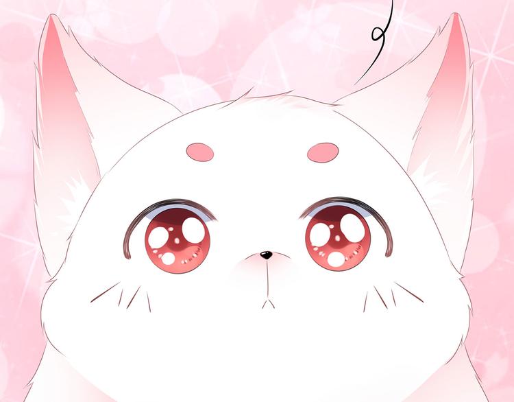 第2话 无奈成宠(1/2)-第3话