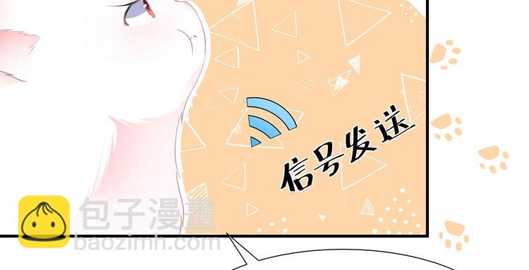 第4话 萌宠生涯(1/2)-第5话