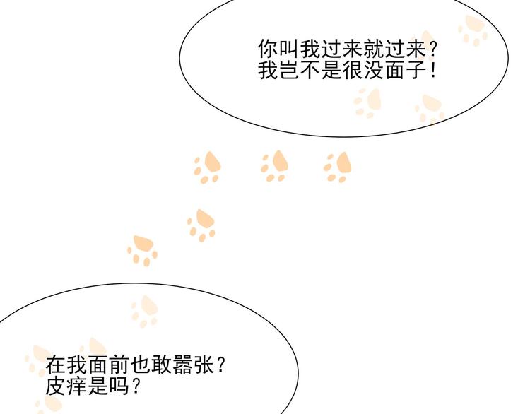 第4话 萌宠生涯(1/2)-第5话