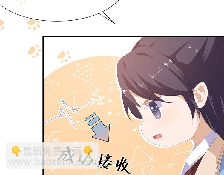 第4话 萌宠生涯(1/2)-第5话