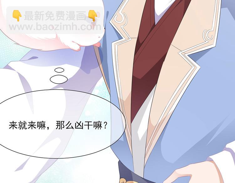 第4话 萌宠生涯(1/2)-第5话