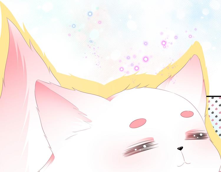 第4话 萌宠生涯(1/2)-第5话