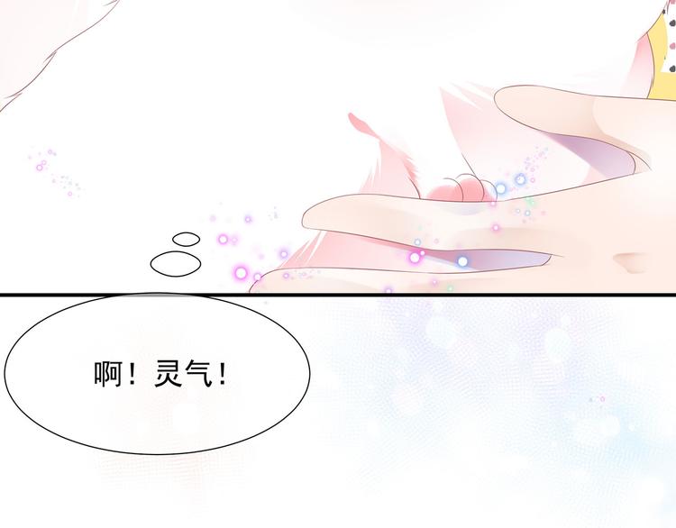 第4话 萌宠生涯(1/2)-第5话