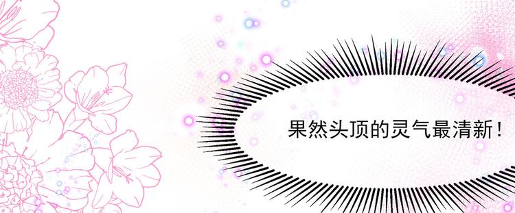 第4话 萌宠生涯(1/2)-第5话