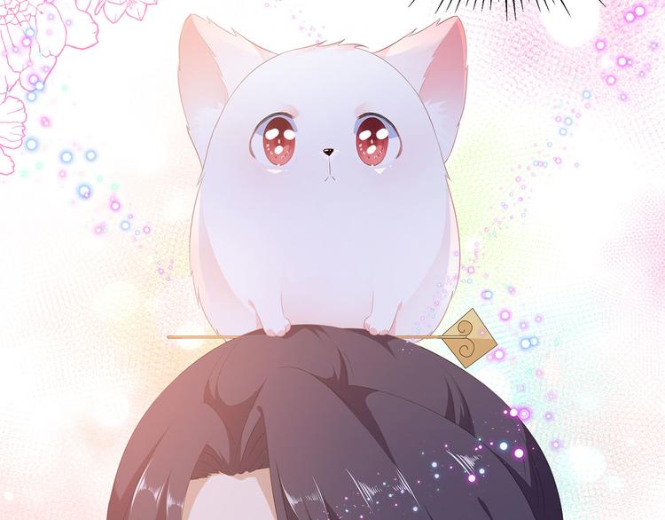 第4话 萌宠生涯(1/2)-第5话