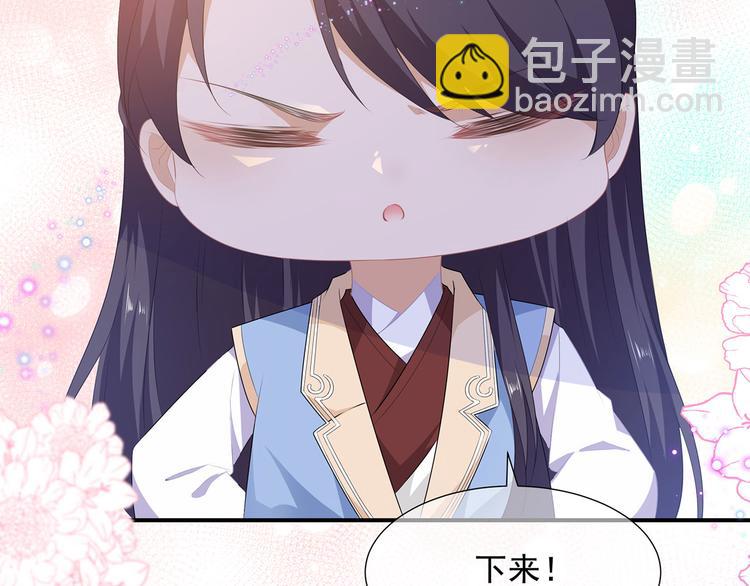 第4话 萌宠生涯(1/2)-第5话