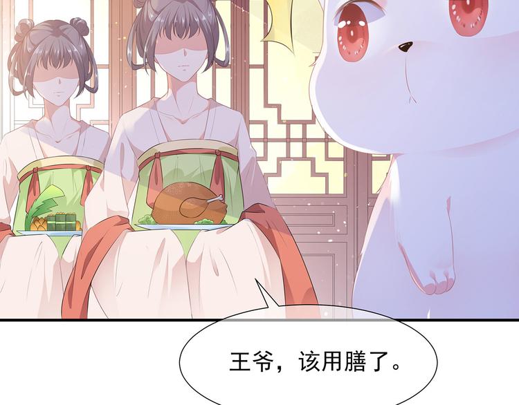 第4话 萌宠生涯(1/2)-第5话