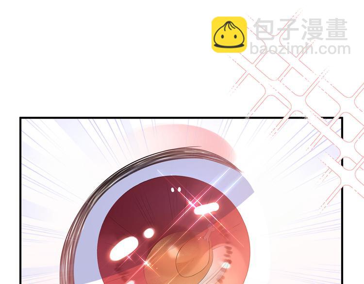 第4话 萌宠生涯(1/2)-第5话