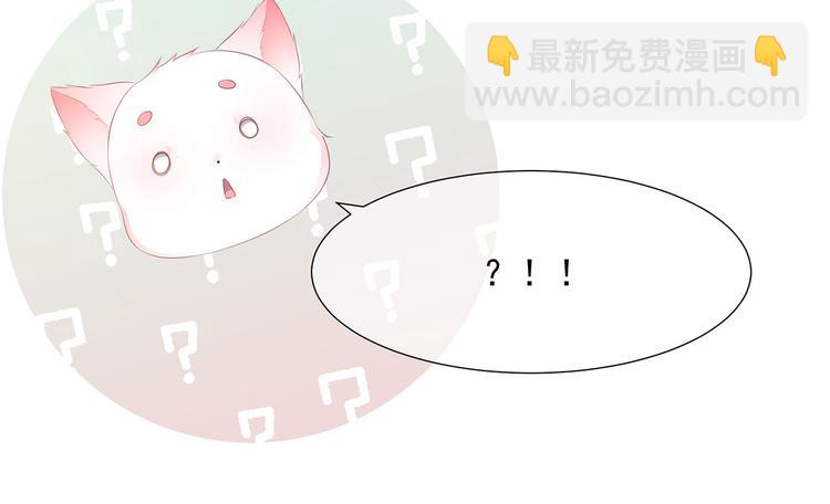 第4话 萌宠生涯(1/2)-第5话