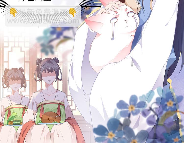 第4话 萌宠生涯(1/2)-第5话