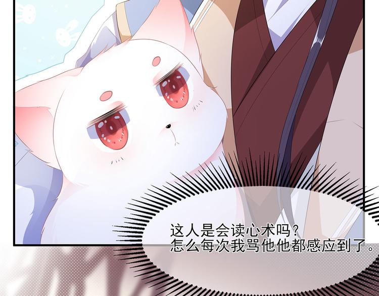 第4话 萌宠生涯(1/2)-第5话