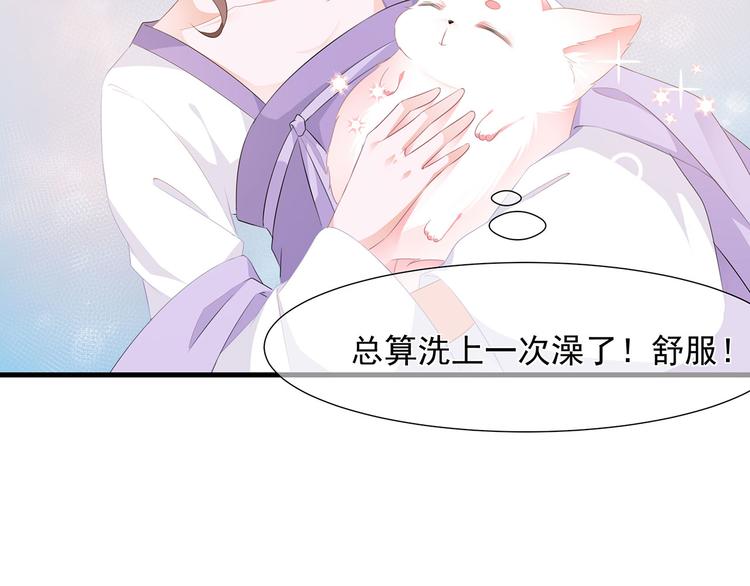 第4话 萌宠生涯(1/2)-第5话