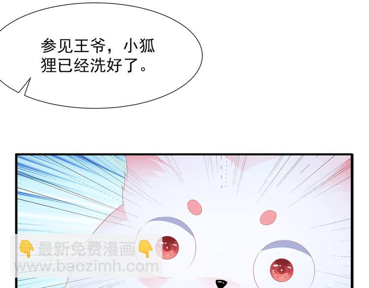 第4话 萌宠生涯(1/2)-第5话