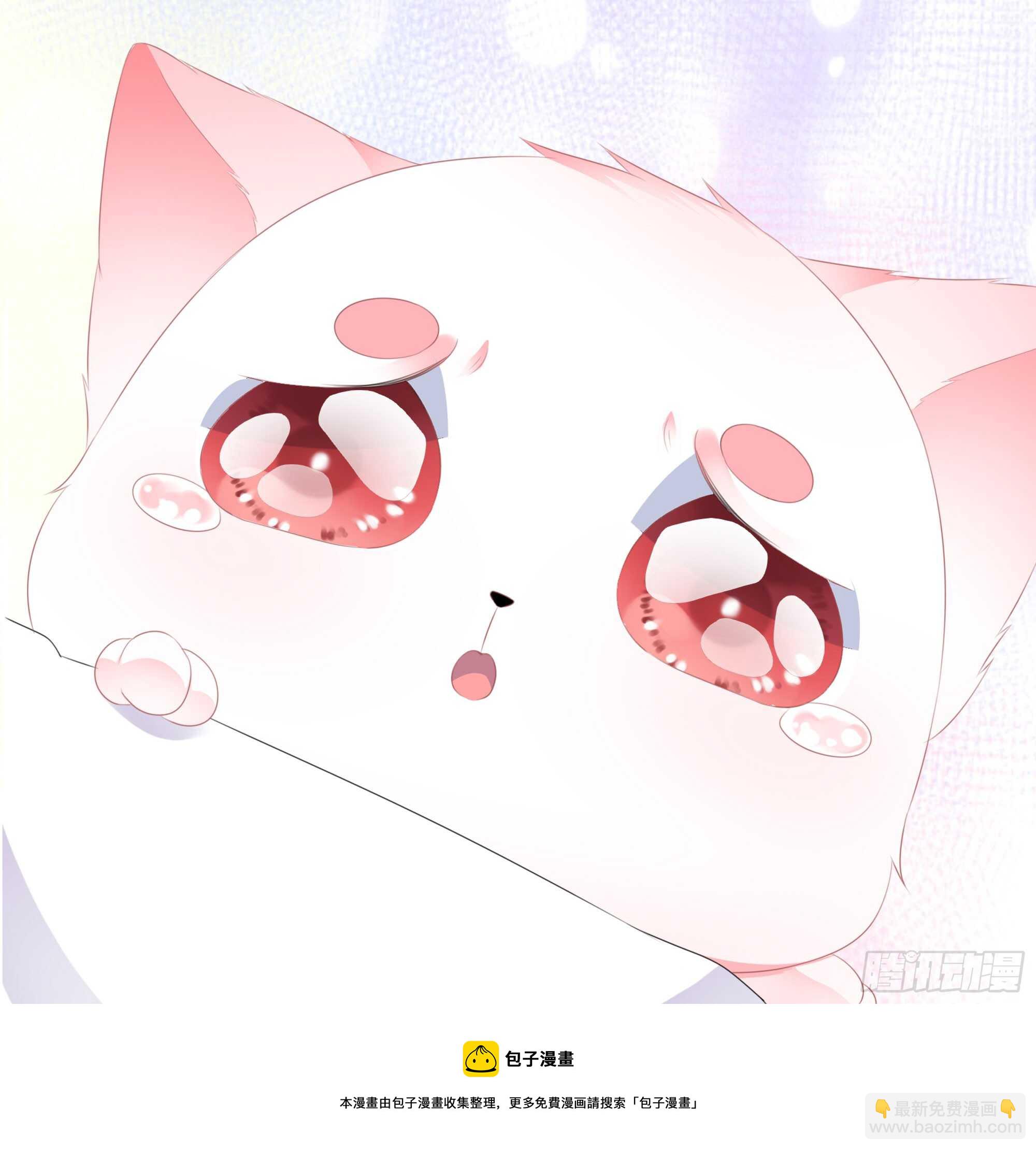 第40话 进入迷阵-第43话