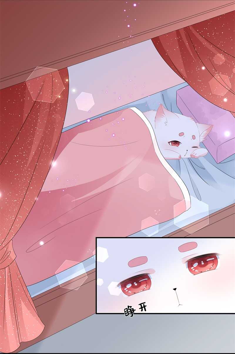 第57话 宫外遇刺-第63话