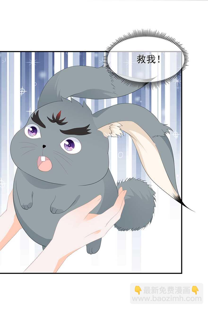 第62话 神秘的黑兔-第69话