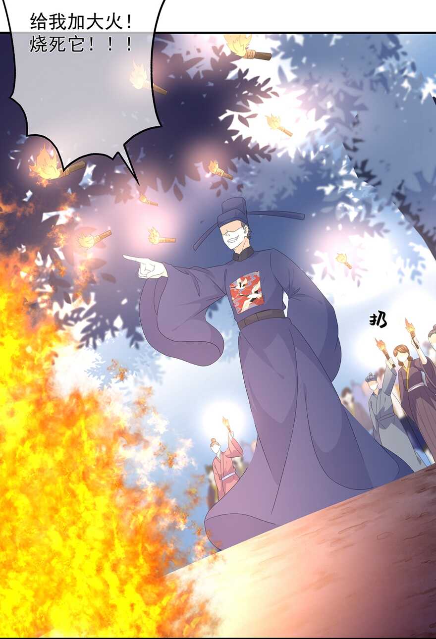 第73话 他坎坷的一生-第81话