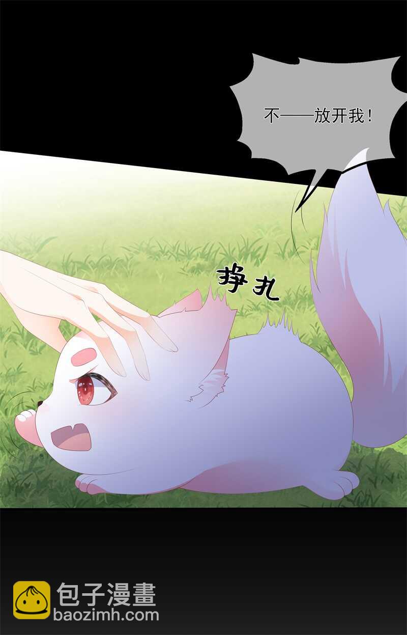 第90话 灵狐传承-第99话