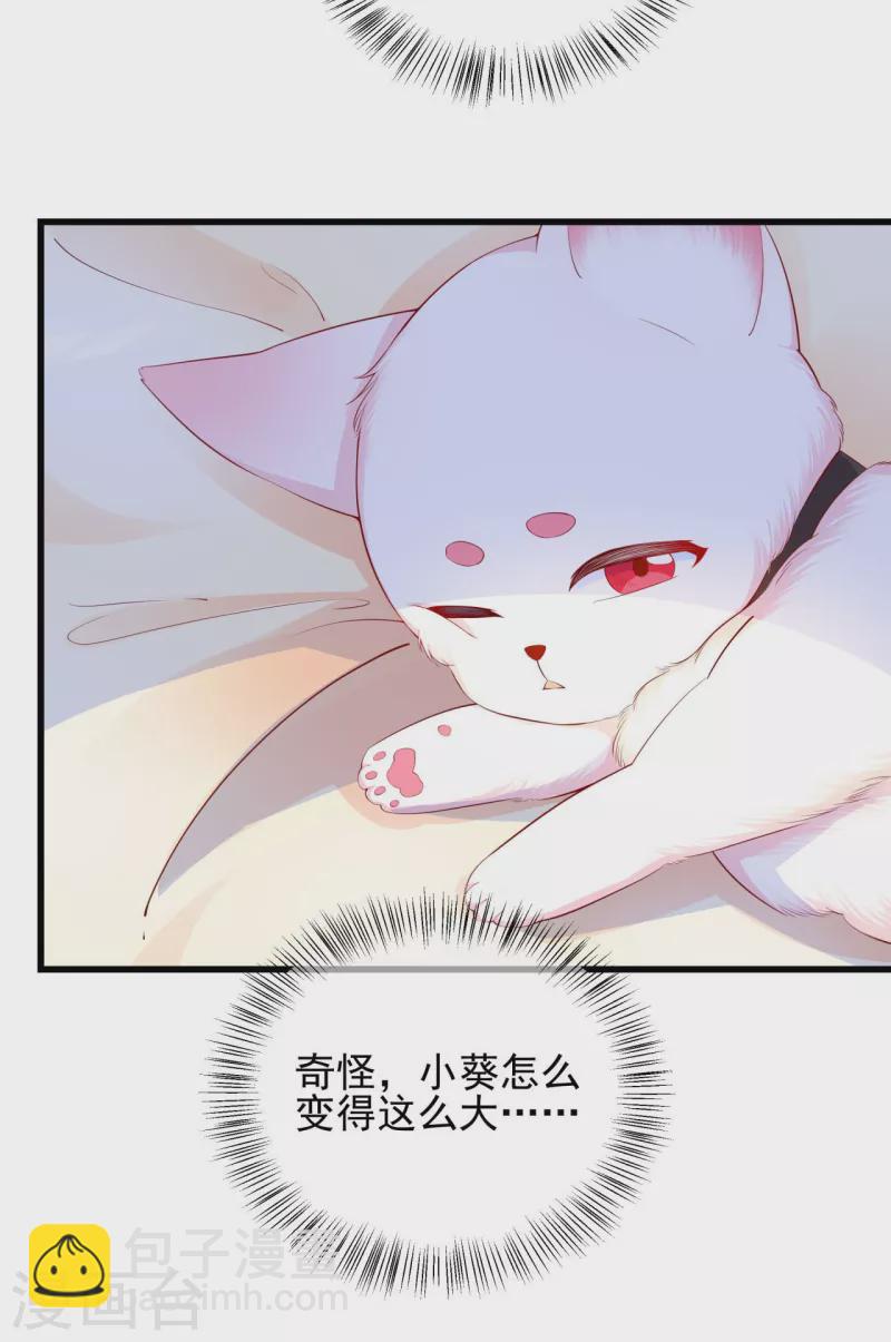 狐妃，別惹火2 - 第9話 騙局！ - 4