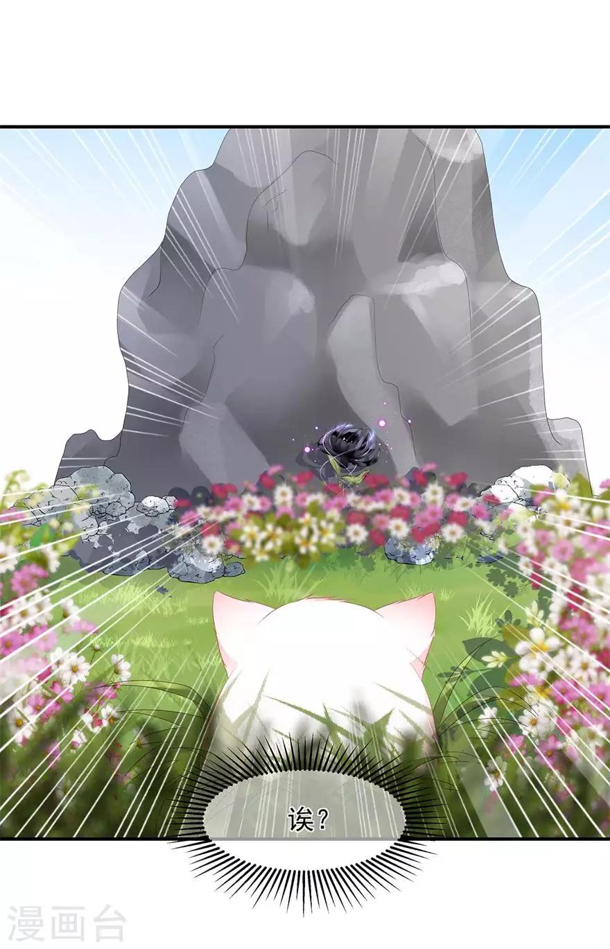 第10话 招惹祸端-第11话