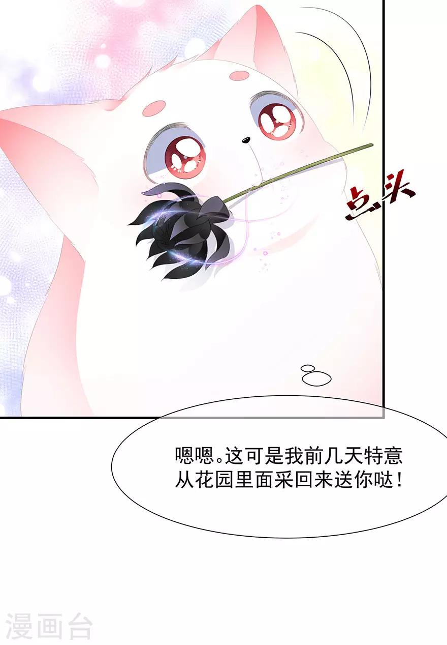 第14话 灵狐报怨-第15话