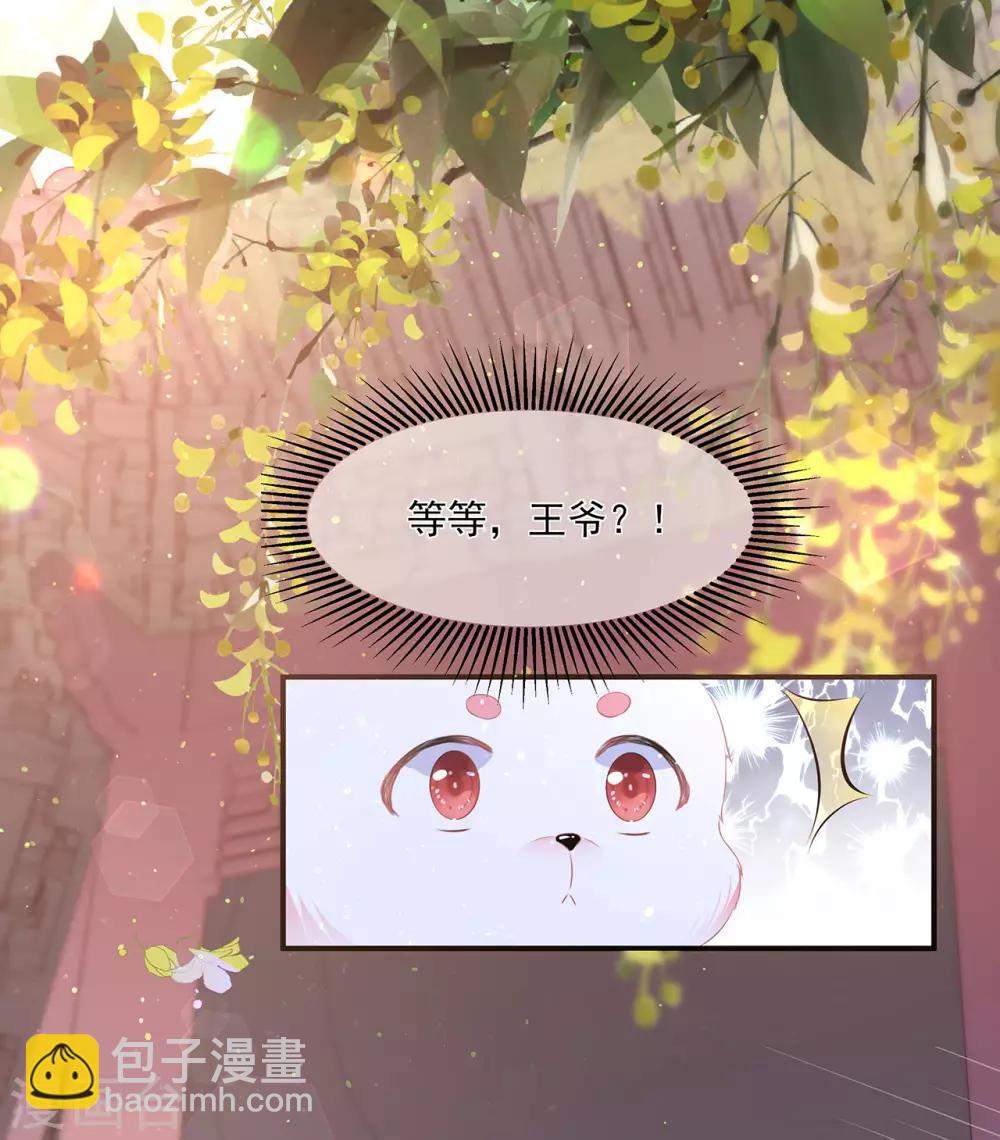 第2话 无奈成宠-第3话