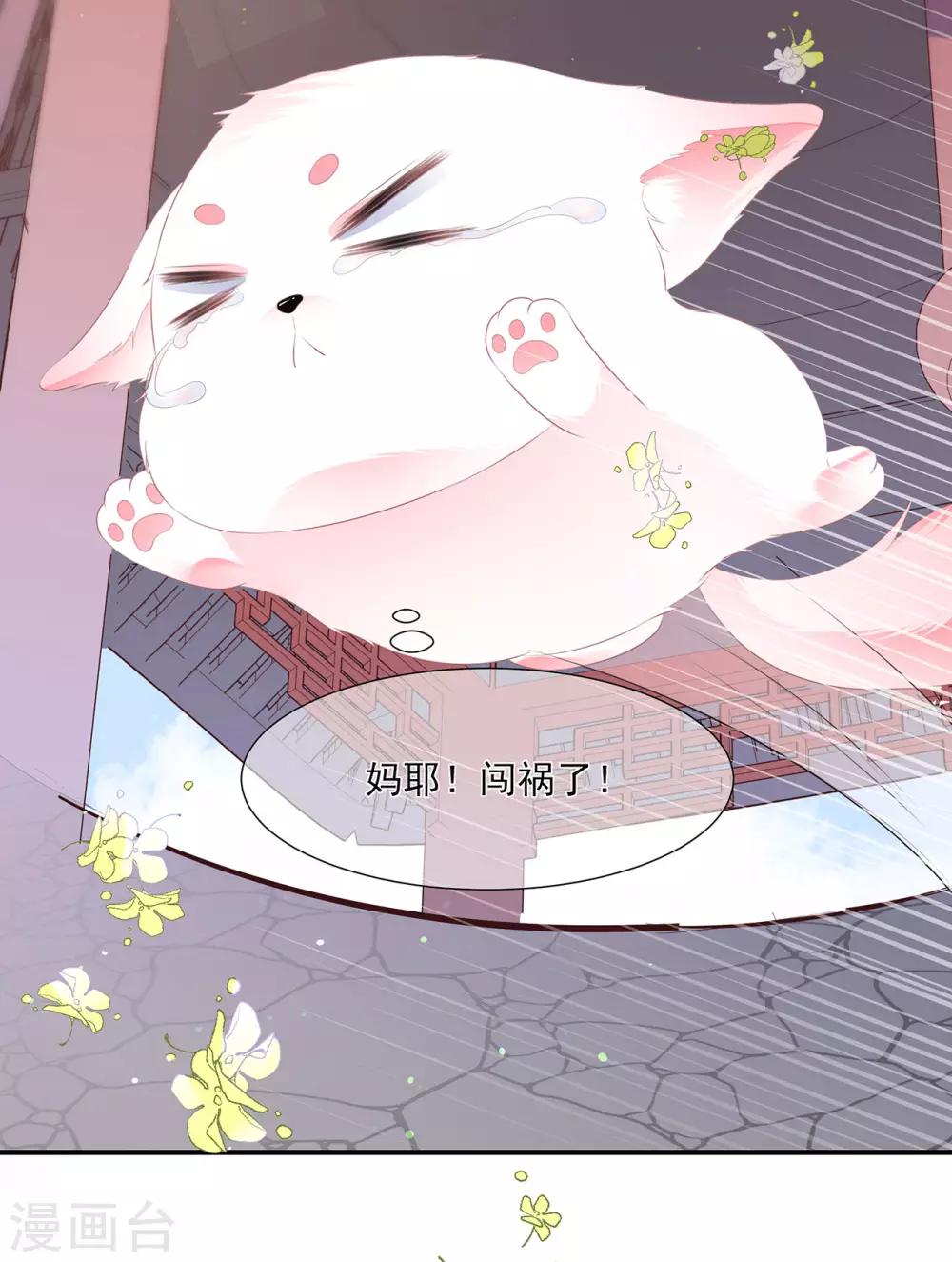 第2话 无奈成宠-第3话