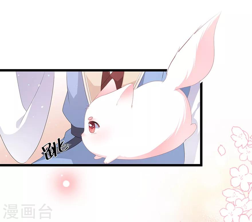 第27话 肥狐逛街-第29话