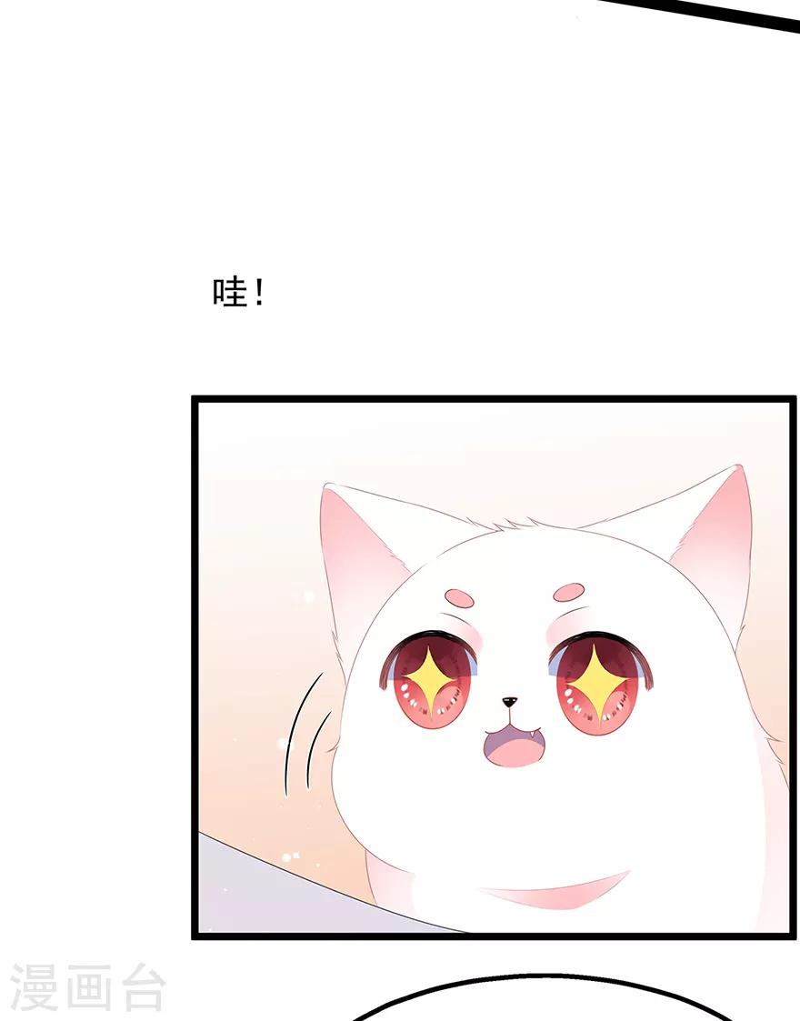 第27话 肥狐逛街-第29话