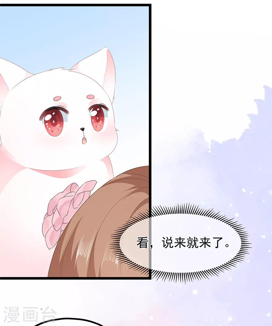 第29话 美人身世(1/2)-第33话