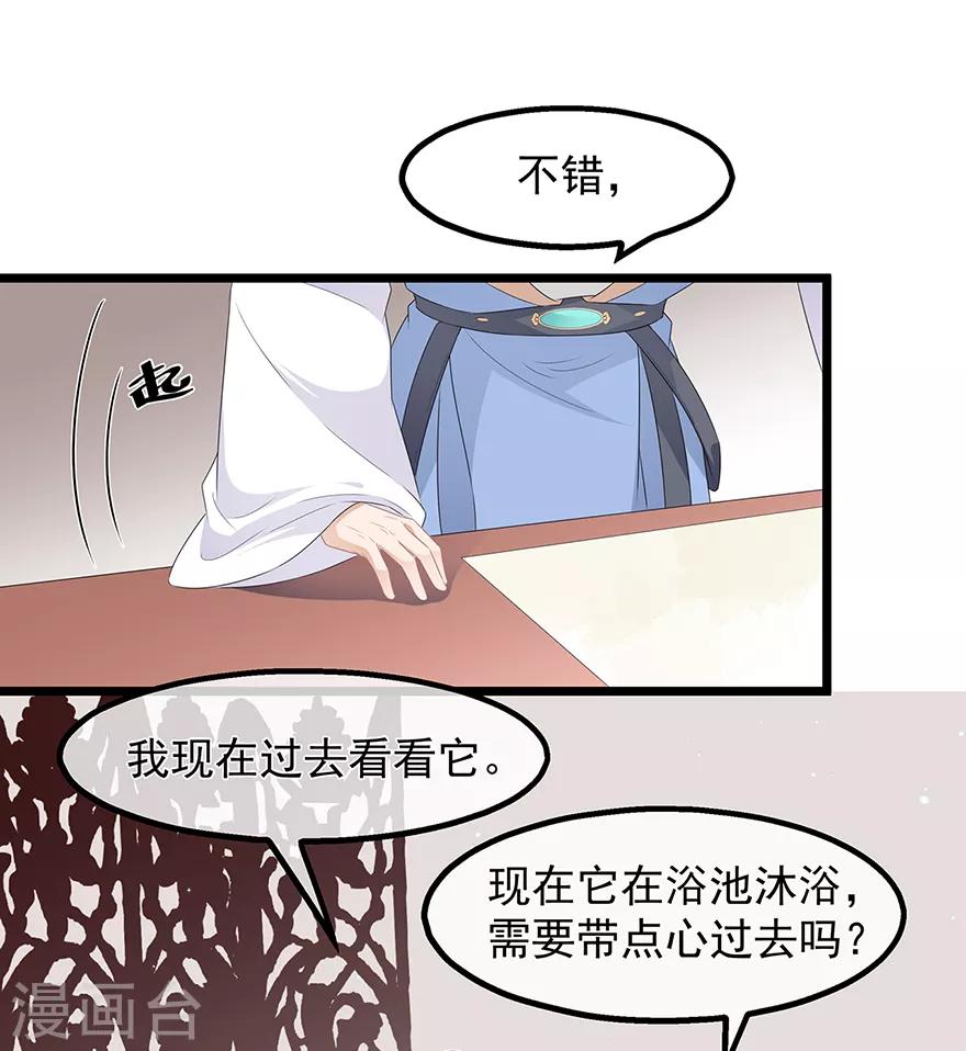 第33话 你说我好不好看-第37话