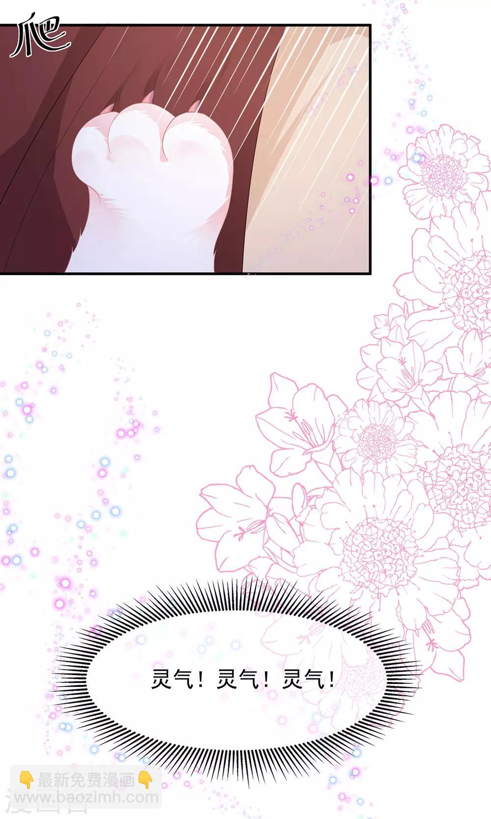 第4话 萌宠生涯-第5话