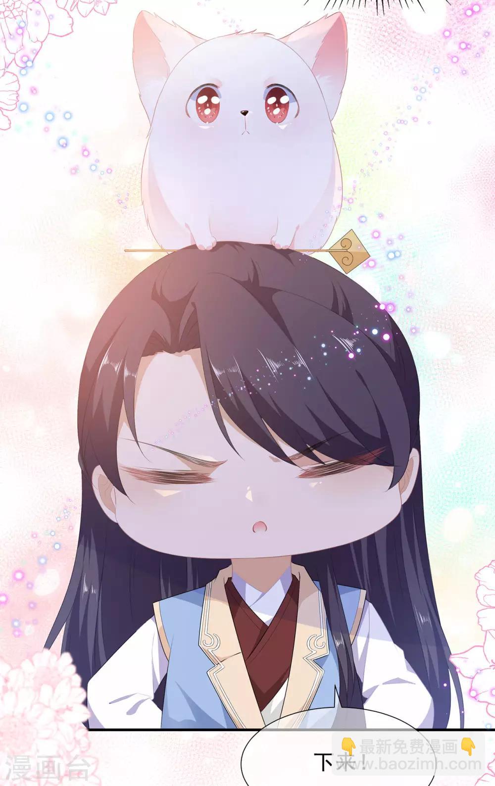 第4话 萌宠生涯-第5话